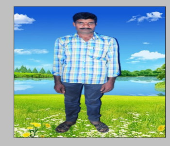 Member